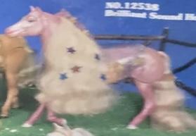Meritus - Girl Friends - Brilliant Sound Horse - Horse