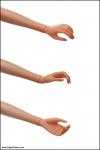 JAMIEshow - JAMIEshow - Left Hand L3 - Angelica Skintone