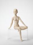Phyn & Aero - Annora Monet - Annora Resin Blank