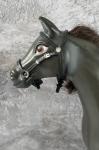 Bridle