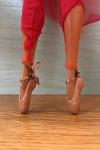 Pointe Shoes